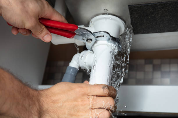 Best Mold removal after water damage  in Denison, TX