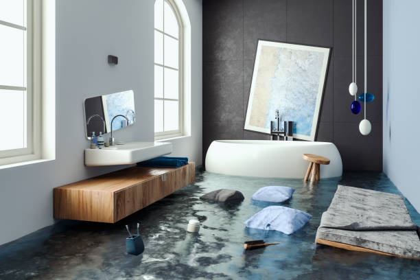 Best Water damage restoration near me  in Denison, TX