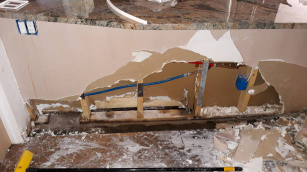 Best 24-hour water damage restoration  in Denison, TX