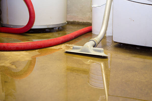 Best Water damage contractors near me  in Denison, TX
