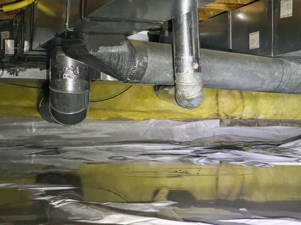 Best 24/7 water damage repair  in Denison, TX