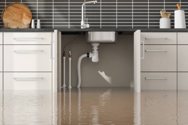 Best Sewage cleanup and water damage restoration  in Denison, TX