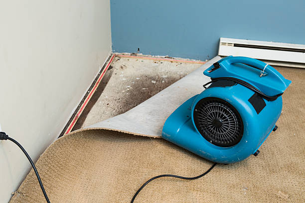 Best Flood restoration services  in Denison, TX